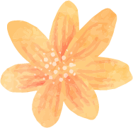 オレンジの華の絵